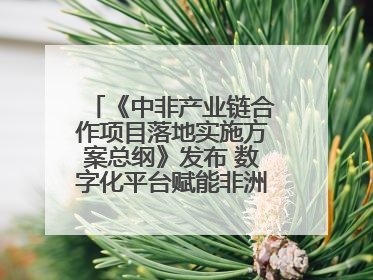《中非产业链合作项目落地实施方案总纲》发布 数字化平台赋能非洲发展驶入快车道