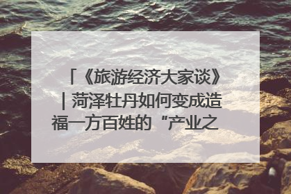 《旅游经济大家谈》｜菏泽牡丹如何变成造福一方百姓的“产业之花”“富民之花”？