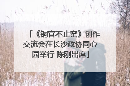 《铜官不止窑》创作交流会在长沙政协同心园举行 陈刚出席