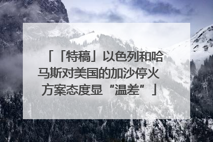 「特稿」以色列和哈马斯对美国的加沙停火方案态度显“温差”