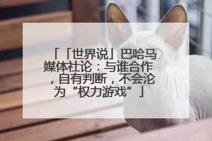 「世界说」巴哈马媒体社论：与谁合作，自有判断，不会沦为“权力游戏”