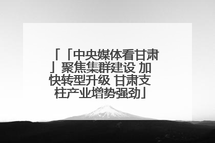 「中央媒体看甘肃」聚焦集群建设 加快转型升级 甘肃支柱产业增势强劲