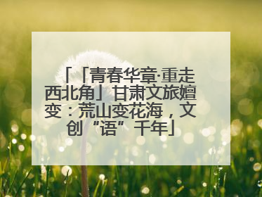 「青春华章·重走西北角」甘肃文旅嬗变：荒山变花海，文创“语”千年