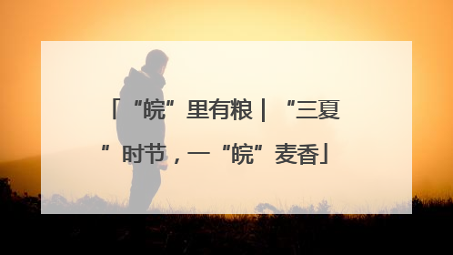 “皖”里有粮｜“三夏”时节，一“皖”麦香