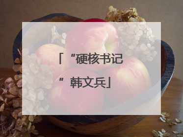 “硬核书记”韩文兵