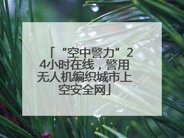“空中警力”24小时在线，警用无人机编织城市上空安全网