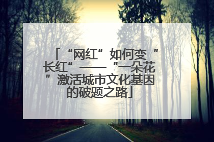 “网红”如何变“长红”——“一朵花”激活城市文化基因的破题之路
