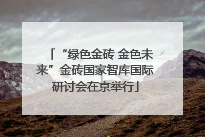 “绿色金砖 金色未来”金砖国家智库国际研讨会在京举行