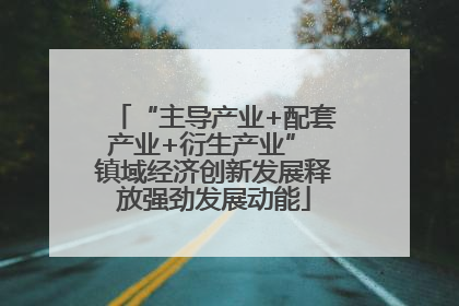 “主导产业+配套产业+衍生产业” 镇域经济创新发展释放强劲发展动能