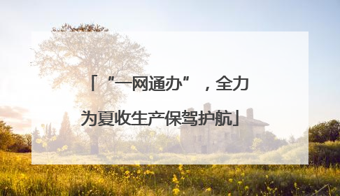 “一网通办”，全力为夏收生产保驾护航