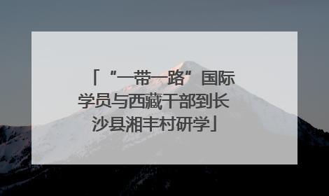 “一带一路”国际学员与西藏干部到长沙县湘丰村研学