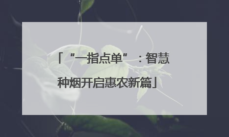 “一指点单”：智慧种烟开启惠农新篇