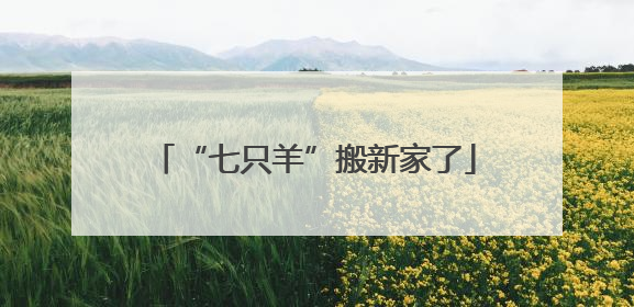 “七只羊”搬新家了