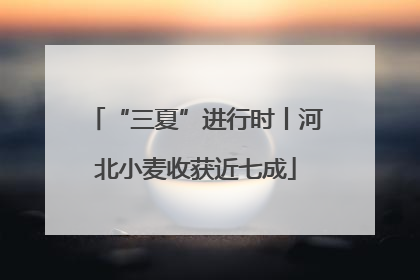 “三夏”进行时丨河北小麦收获近七成