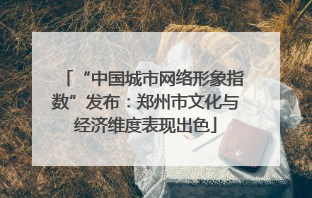 “中国城市网络形象指数”发布：郑州市文化与经济维度表现出色