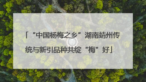 “中国杨梅之乡”湖南靖州传统与新引品种共绽“梅”好