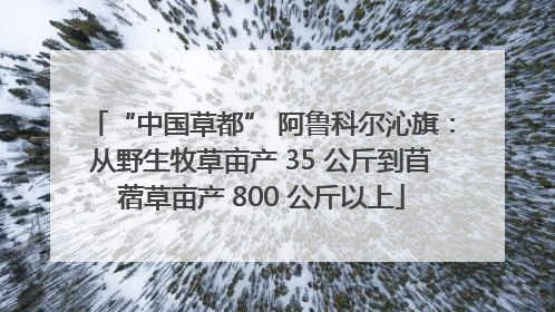 “中国草都” 阿鲁科尔沁旗：从野生牧草亩产 35 公斤到苜蓿草亩产 800 公斤以上