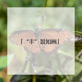 “丰”景如画