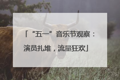 “五一”音乐节观察：演员扎堆，流量狂欢