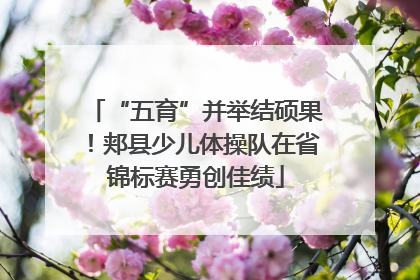 “五育”并举结硕果！郏县少儿体操队在省锦标赛勇创佳绩
