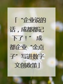 “企业说的话，成都都记下了！” 成都企业“金点子”写进数字文创政策