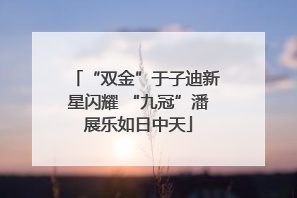 “双金”于子迪新星闪耀 “九冠”潘展乐如日中天
