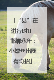 “县”在进行时⑬｜邯郸永年：小螺丝出圈有奇招