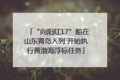 “向阳红17”船在山东青岛入列 开始执行黄渤海浮标任务