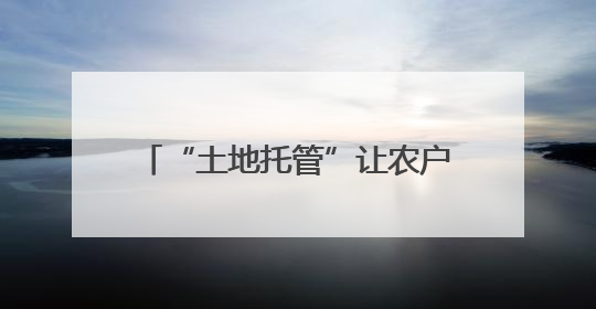 “土地托管”让农户当上“甩手掌柜”