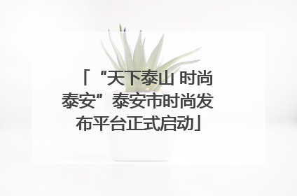 “天下泰山 时尚泰安”泰安市时尚发布平台正式启动
