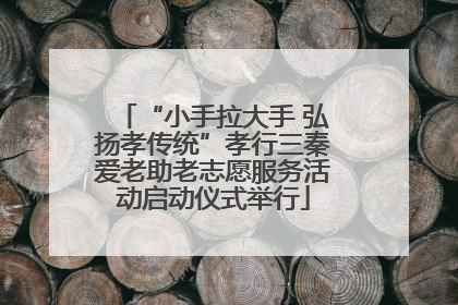 “小手拉大手 弘扬孝传统”孝行三秦爱老助老志愿服务活动启动仪式举行