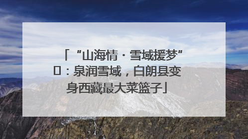 “山海情・雪域援梦”⑪：泉润雪域，白朗县变身西藏最大菜篮子
