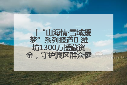 “山海情·雪域援梦”系列报道⑪ 潍坊1300万援藏资金，守护藏区群众健康“最后一公里”