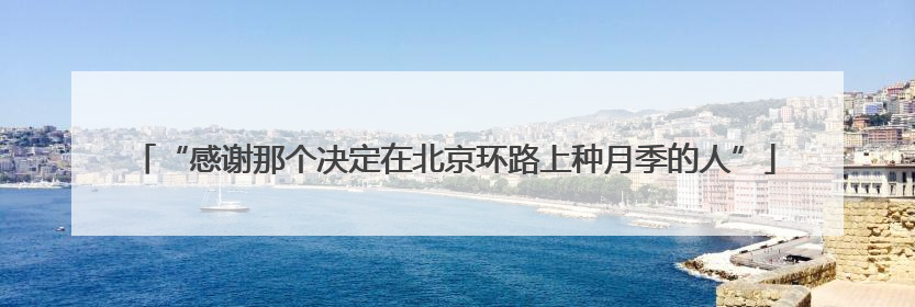 “感谢那个决定在北京环路上种月季的人”