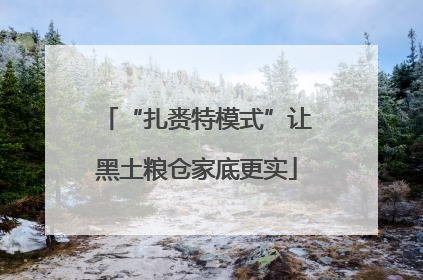 “扎赉特模式”让黑土粮仓家底更实