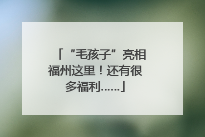 “毛孩子”亮相福州这里！还有很多福利……