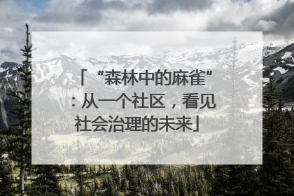 “森林中的麻雀”：从一个社区，看见社会治理的未来