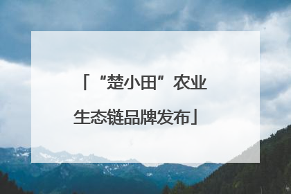 “楚小田”农业生态链品牌发布