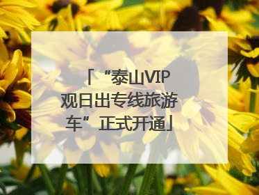 “泰山VIP观日出专线旅游车”正式开通