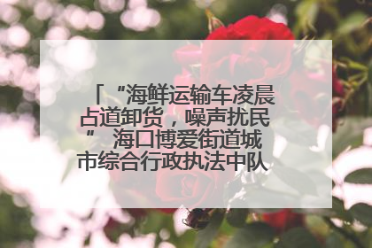 “海鲜运输车凌晨占道卸货，噪声扰民” 海口博爱街道城市综合行政执法中队：将联合交警加强长堤路一带巡逻