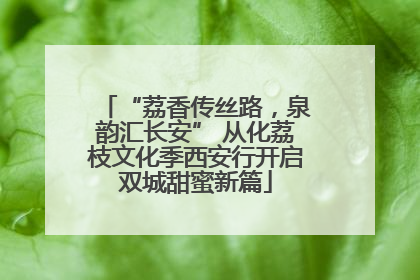 “荔香传丝路，泉韵汇长安” 从化荔枝文化季西安行开启双城甜蜜新篇