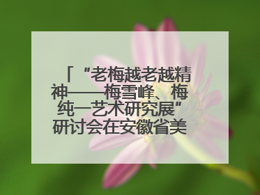 “老梅越老越精神——梅雪峰、梅纯一艺术研究展”研讨会在安徽省美术馆召开