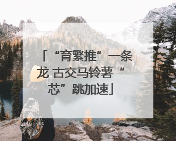 “育繁推”一条龙 古交马铃薯“芯”跳加速