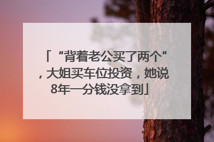 “背着老公买了两个”，大姐买车位投资，她说8年一分钱没拿到