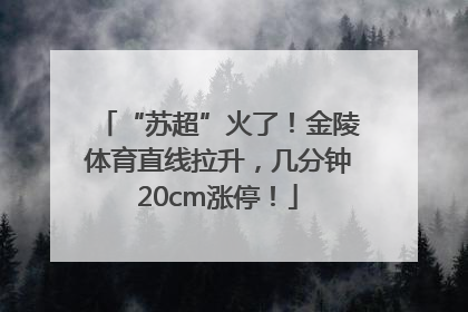“苏超”火了！金陵体育直线拉升，几分钟20cm涨停！