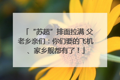 “苏超”排面拉满 父老乡亲们：你们要的飞机、家乡舰都有了！