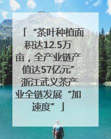 “茶叶种植面积达12.5万亩，全产业链产值达57亿元” 浙江武义茶产业全链发展“加速度”