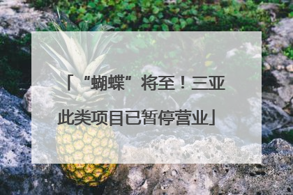 “蝴蝶”将至！三亚此类项目已暂停营业