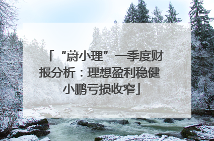 “蔚小理”一季度财报分析：理想盈利稳健 小鹏亏损收窄
