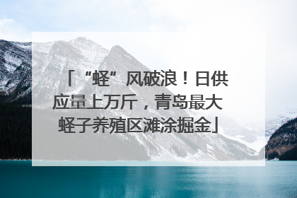 “蛏”风破浪！日供应量上万斤，青岛最大蛏子养殖区滩涂掘金